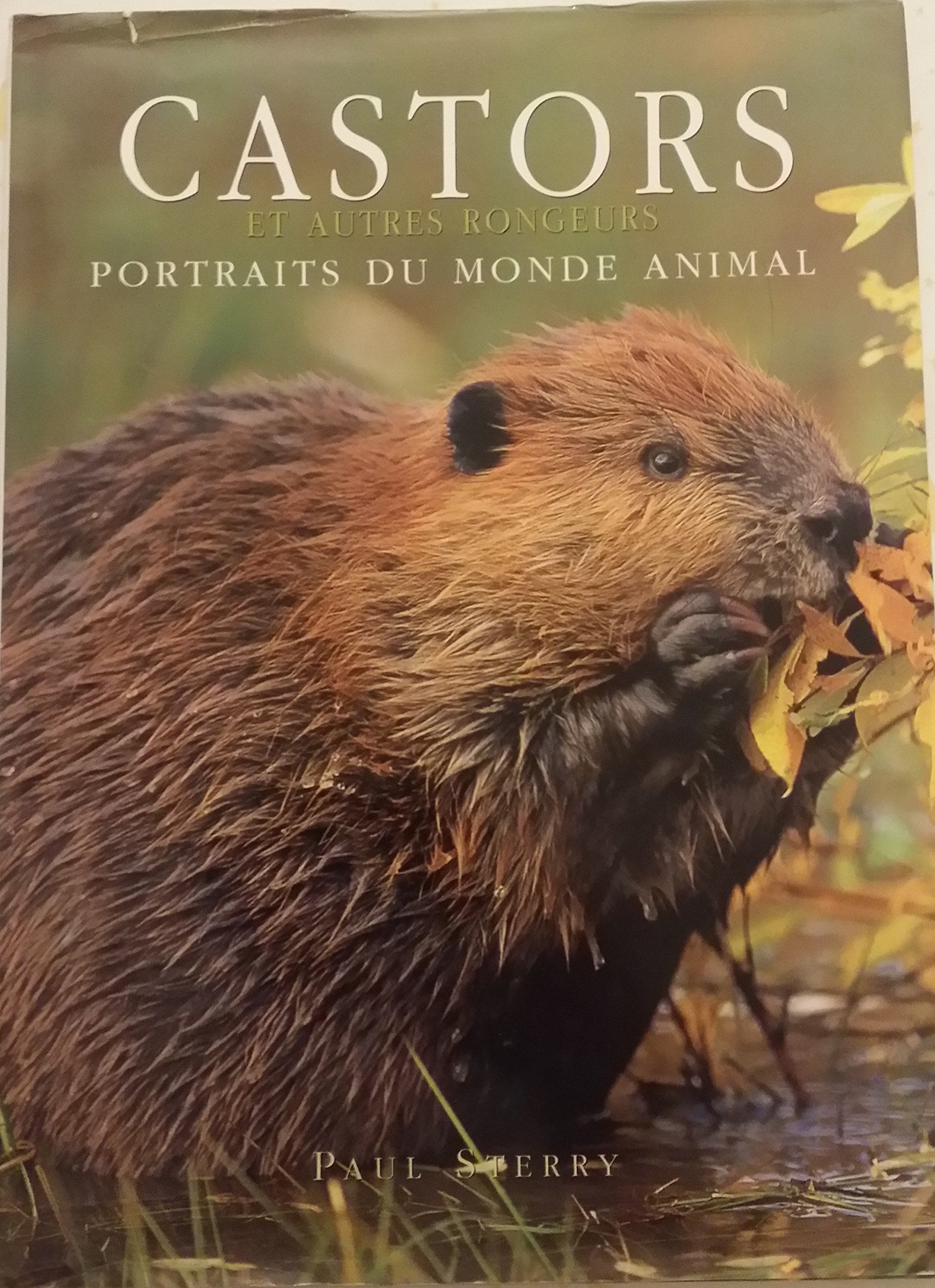 Castors et autres rongeurs (Portraits du monde animal) book