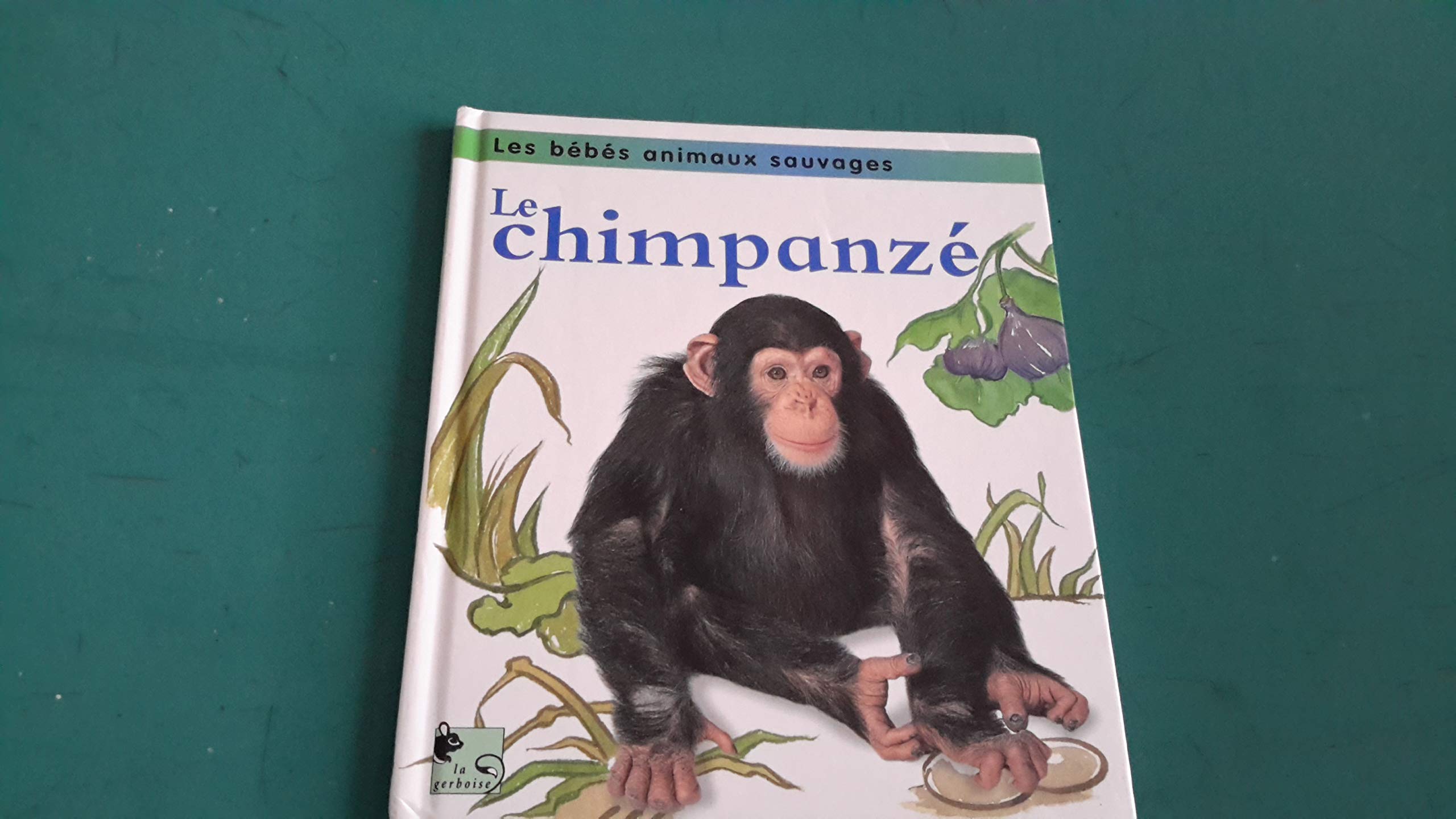 Le chimpanzé (Les bébés animaux sauvages) book