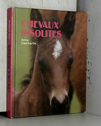 Chevaux insolites (St-André-des-Arts) Books