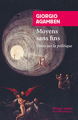 Moyens sans fins : notes sur la politique book