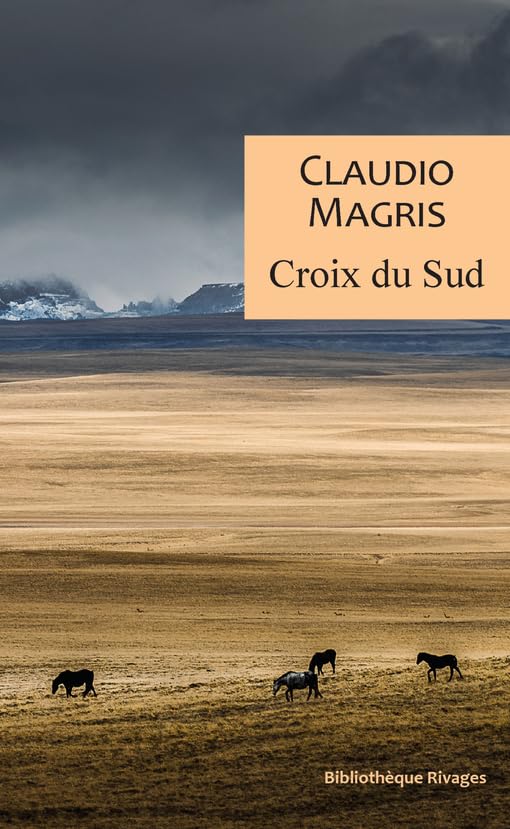 Croix du sud: Trois vies vraies et improbables Contemporary literature
