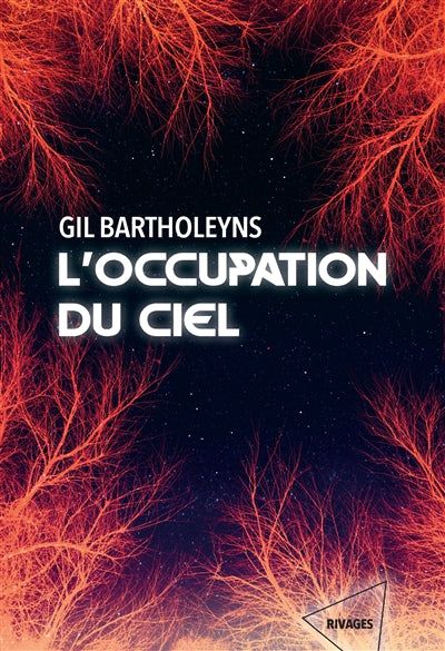 Product Image: L'occupation du ciel