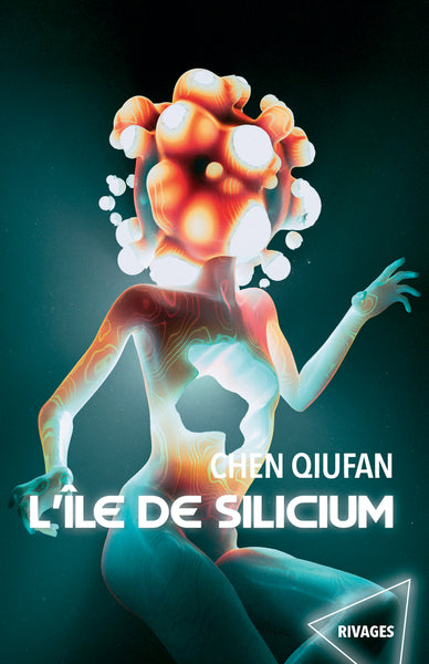 L'île de silicium Contemporary literature Books