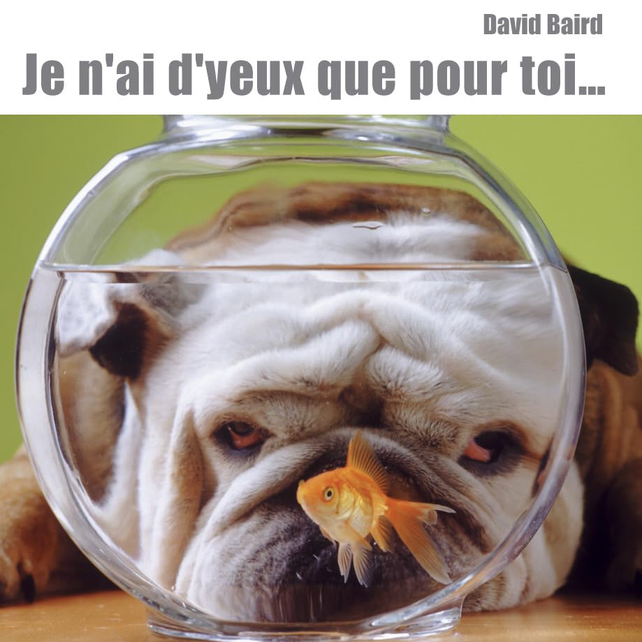 JE N'AI D'YEUX QUE POUR TOI book