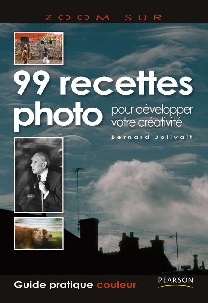 99 RECETTES PHOTO POUR DEVELOPPER VOTRE CREATIVITE book