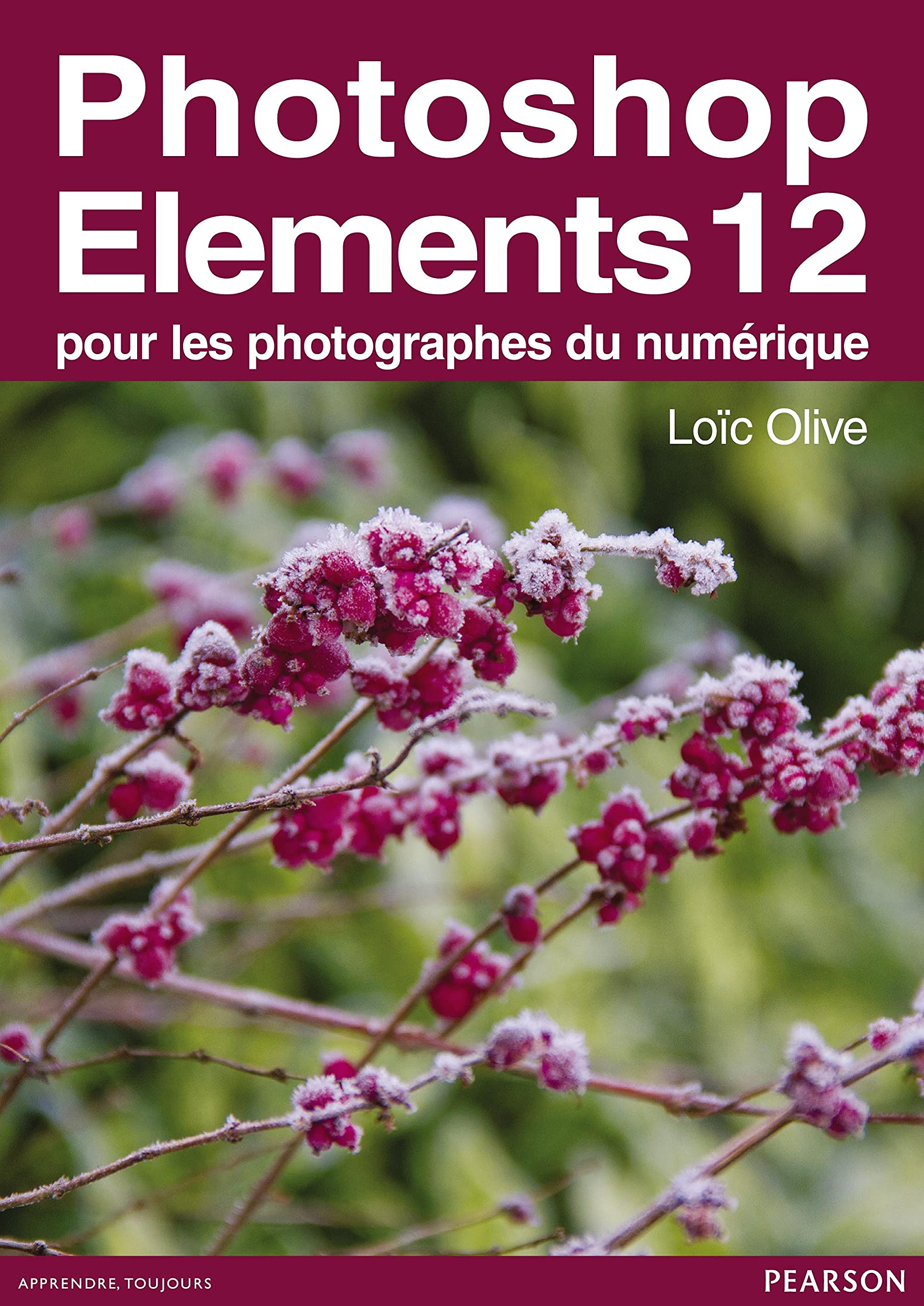 PHOTOSHOP ELEMENTS 12 - POUR LES PHOTOGRAPHES DU NUMERIQUE book