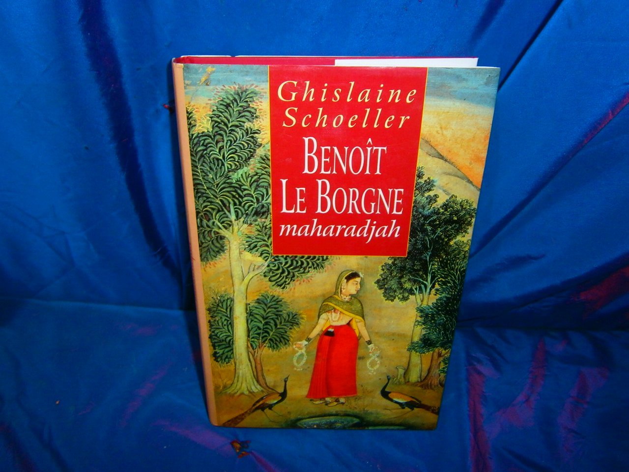 Benoît le borgne, maharadjah. Roman. book