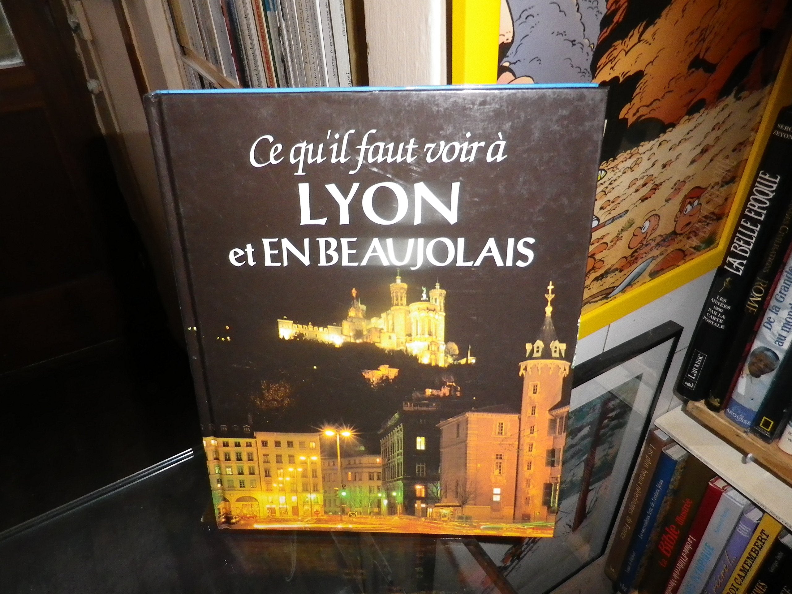 Ce Qu'il Faut Voir À Lyon Et En Beaujolais book