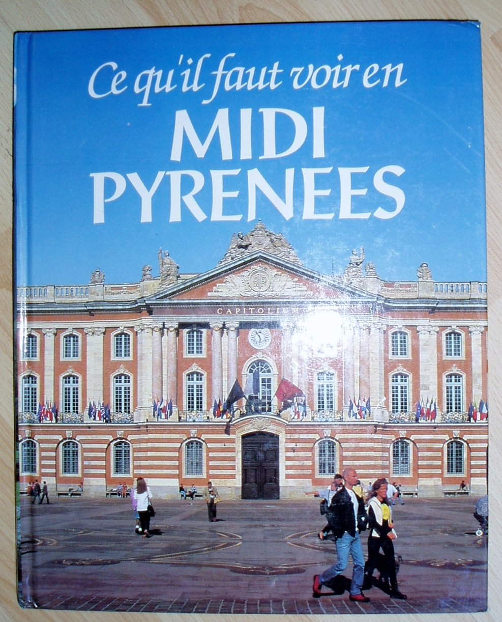 Ce Qu'il Faut Voir En Midi Pyrénées book