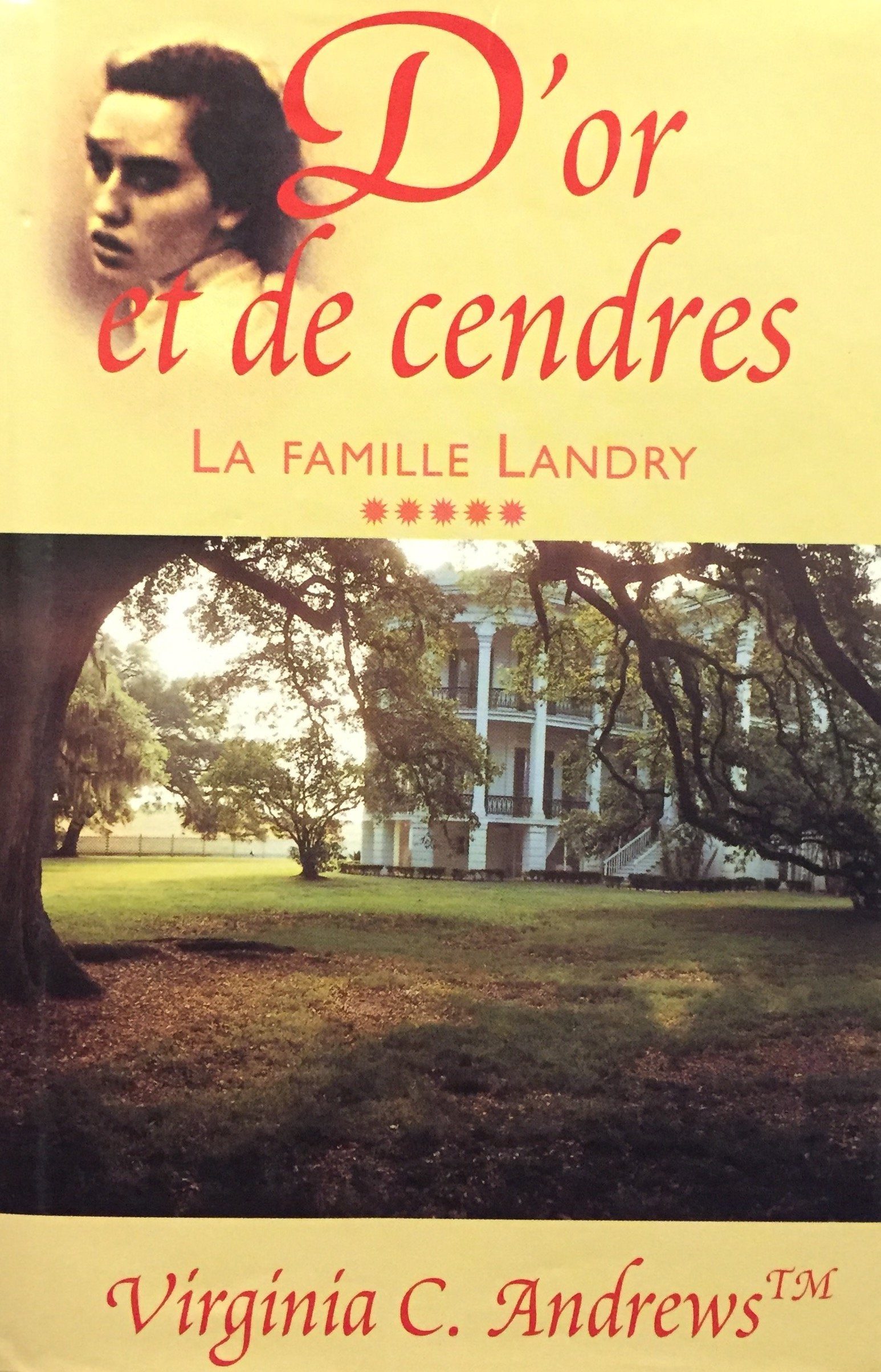 D'or et de cendres (La famille Landry.) Books
