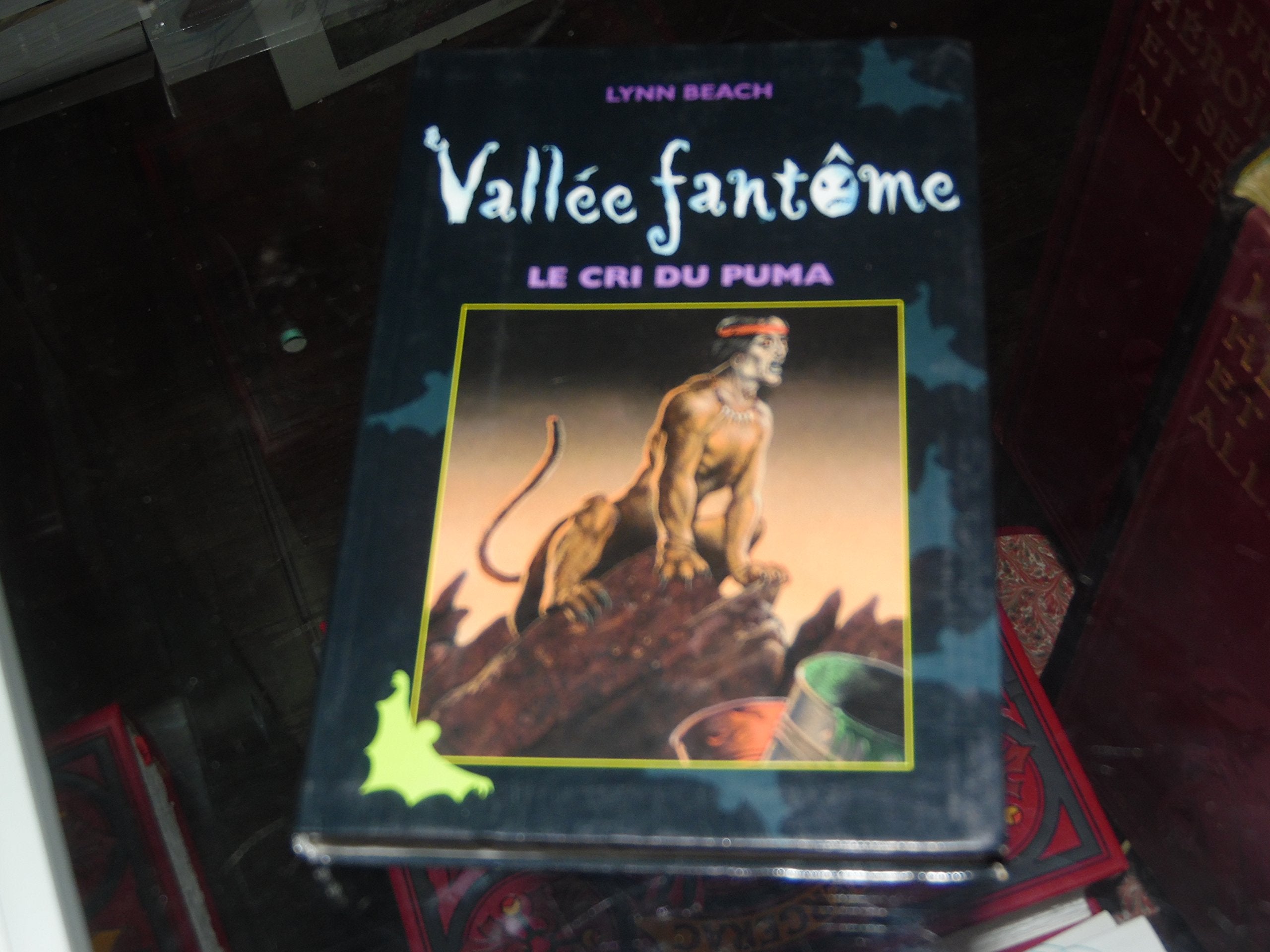 Le cri du puma (Vallée fantôme.) book