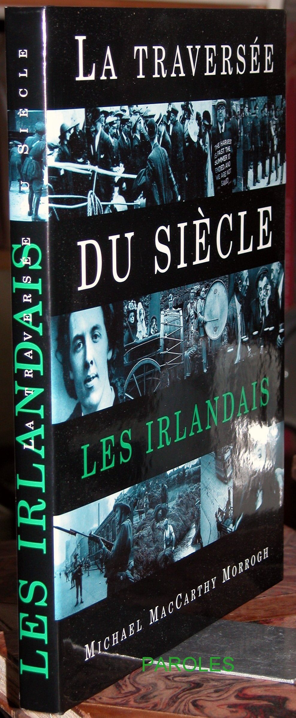 LES IRLANDAIS. La Traversée du siècle book