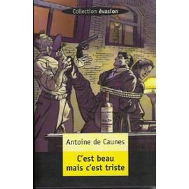 C'est beau mais c'est triste Books