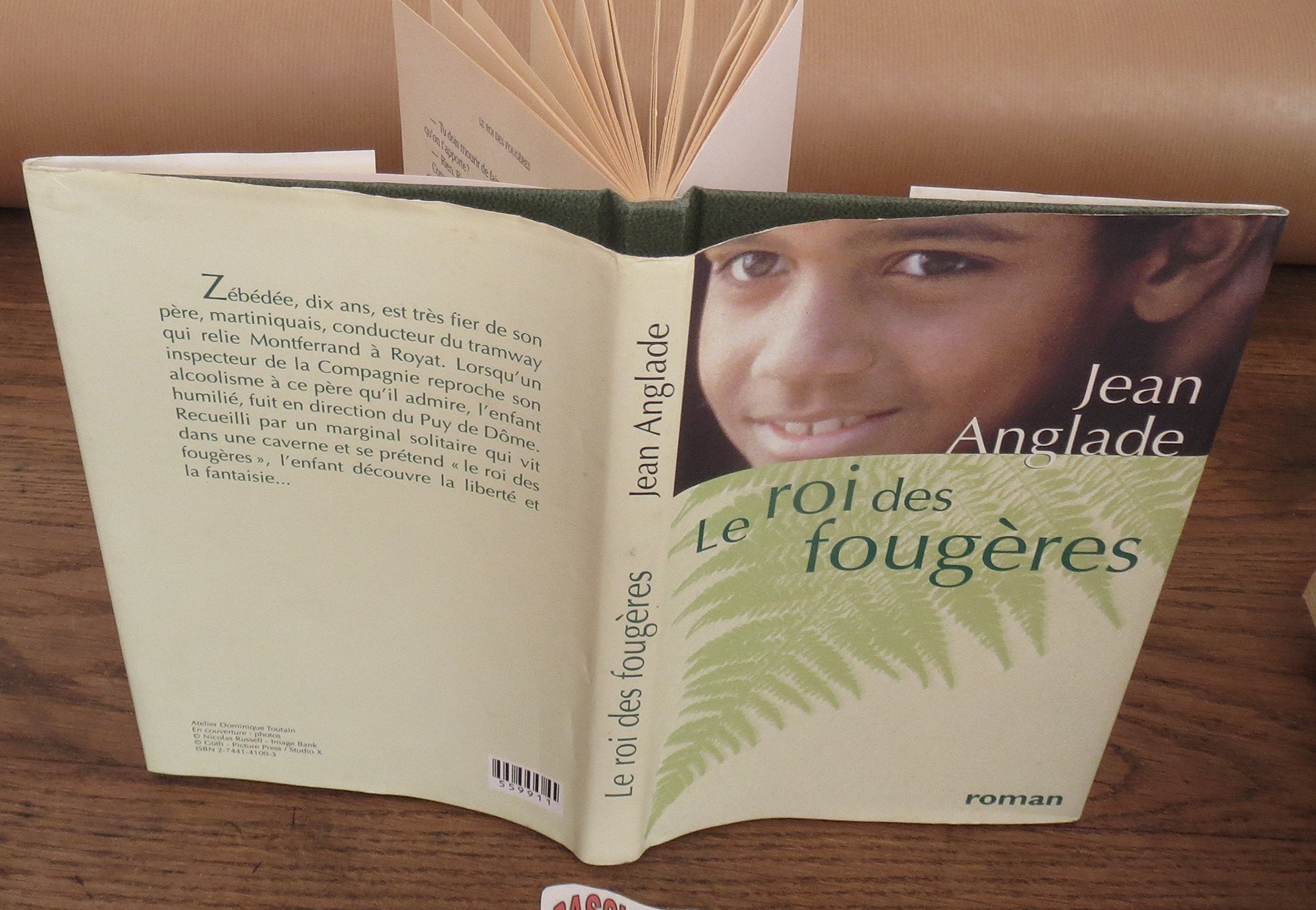 Le roi des fougères book