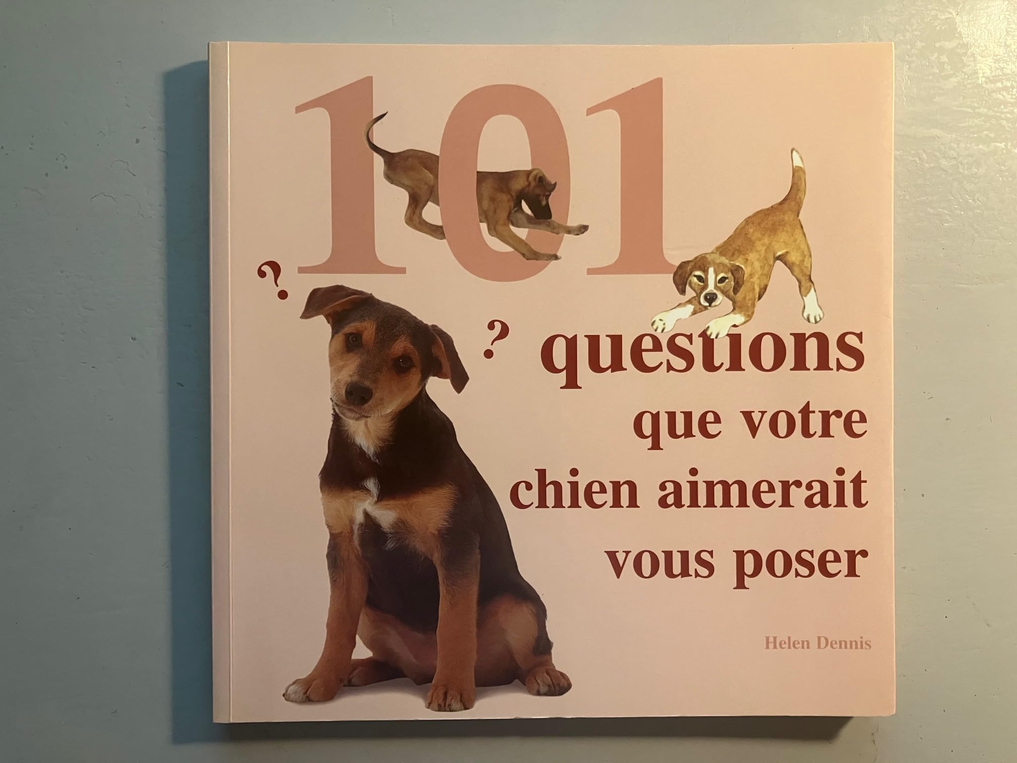 101 questions que votre chien aimerait vous poser : Tout ce qui tracasse votre chien, et la solution à ses problèmes Books