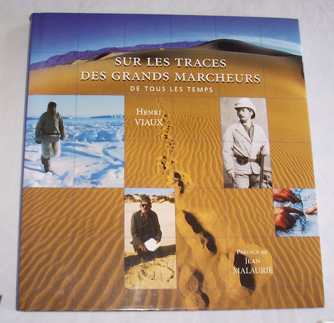 Sur les traces des grands marcheurs de tous les temps Books