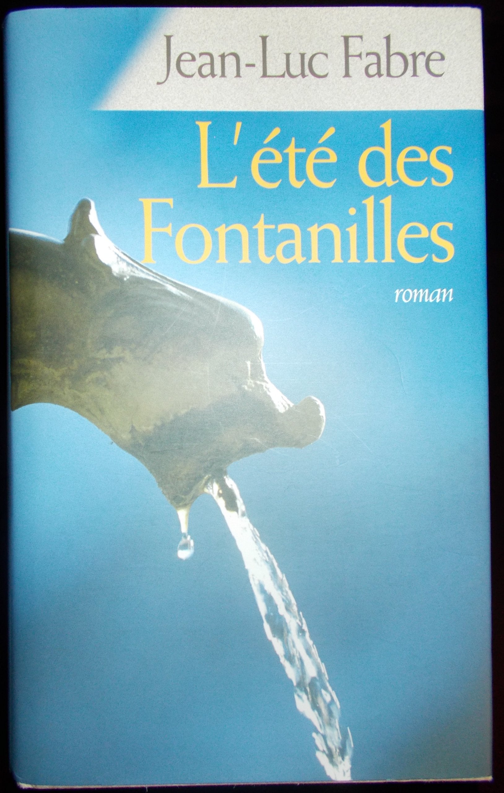 L'été des Fontanilles book