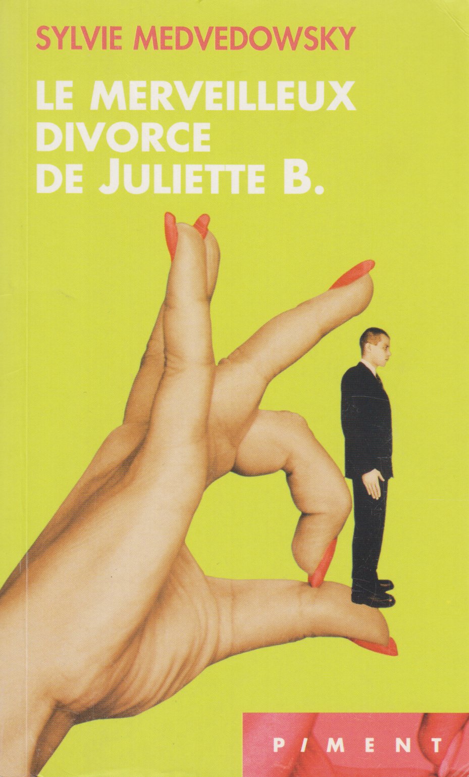 Le merveilleux divorce de Juliette B book