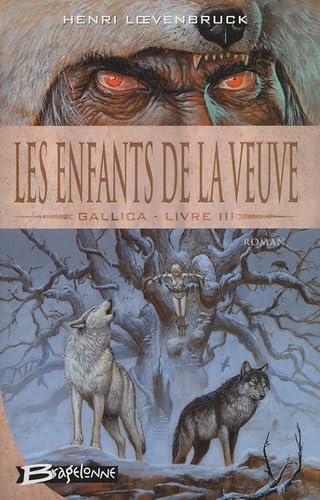 Les enfants de la veuve book
