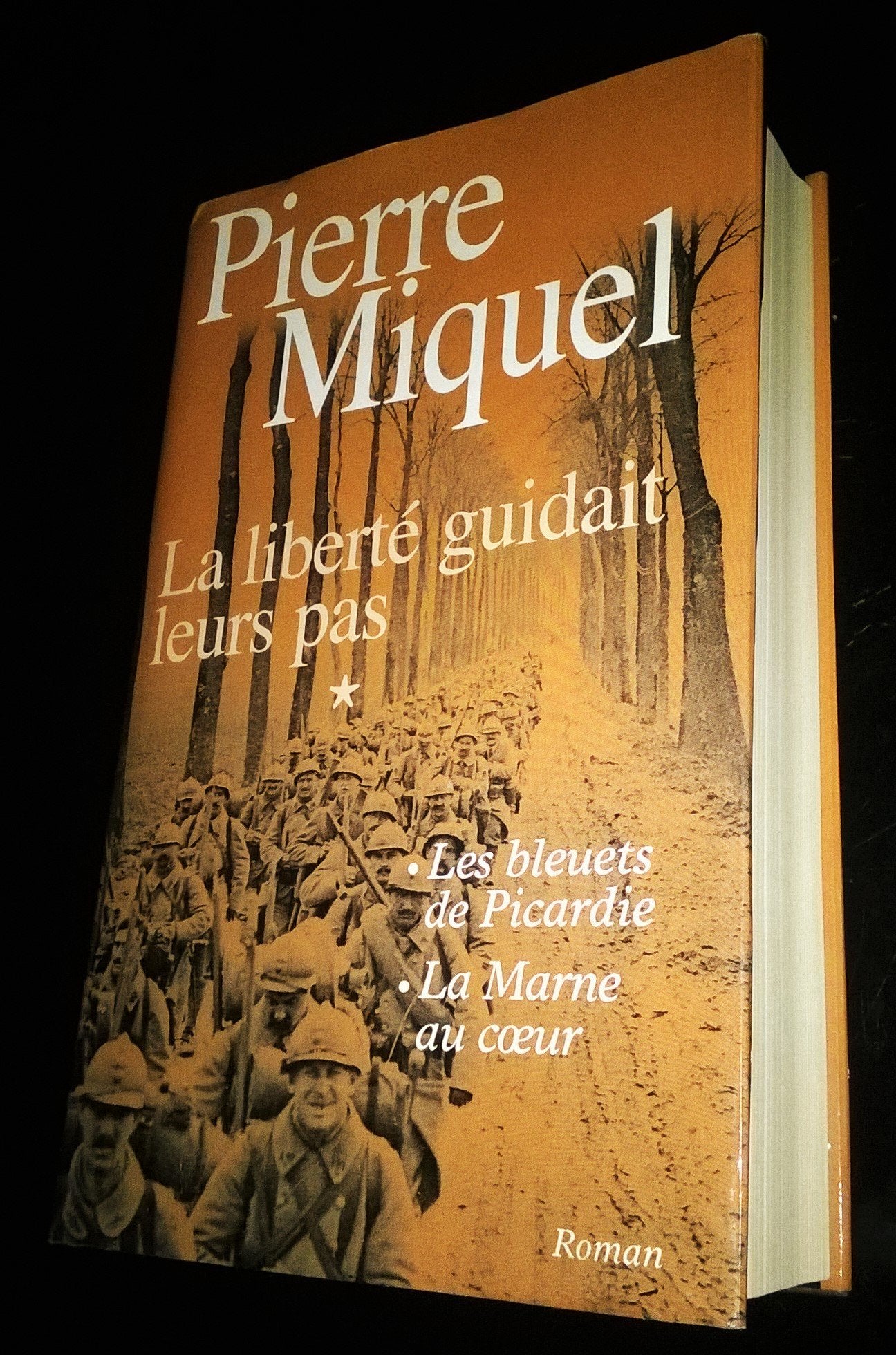 La liberté guidait leurs pas : Suite romanesque Books