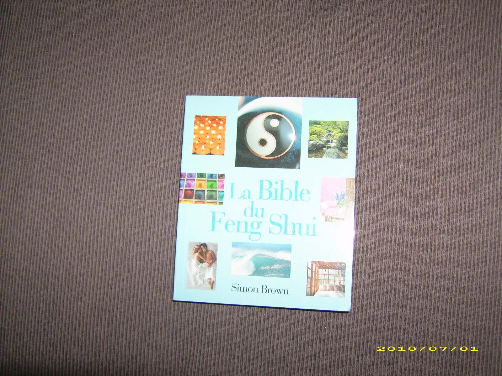 La bible du Feng Shui - Traduit de l'anglais par Antonia Leibovici book