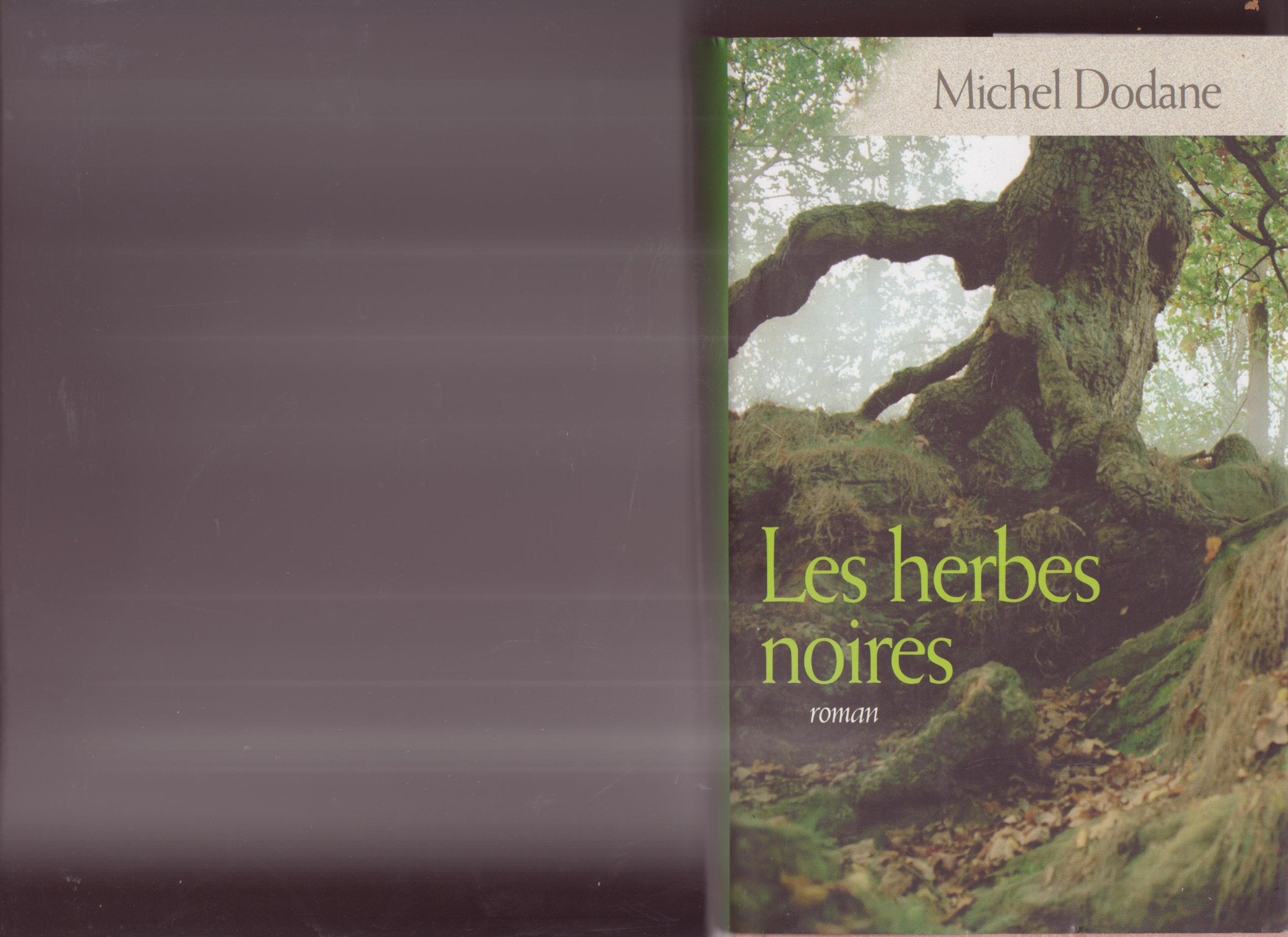Les herbes noires (Les enfants de la Vouivre) Books