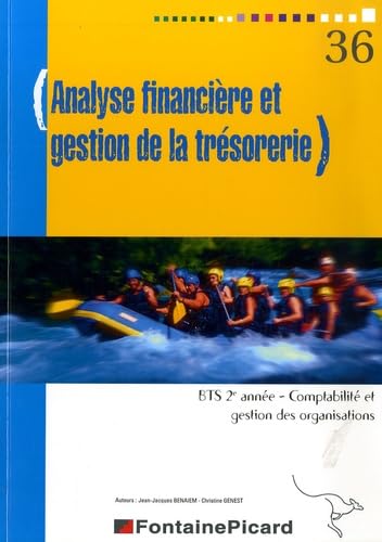 Analyse financière et gestion de la trésorerie BTS Comptabilité et Gestion des Organisations 2e année book
