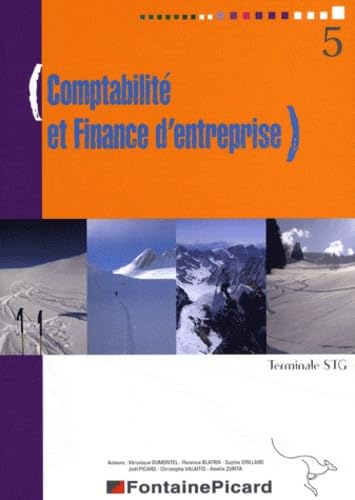 Comptabilité et Finance d'entreprise Tle STG Books
