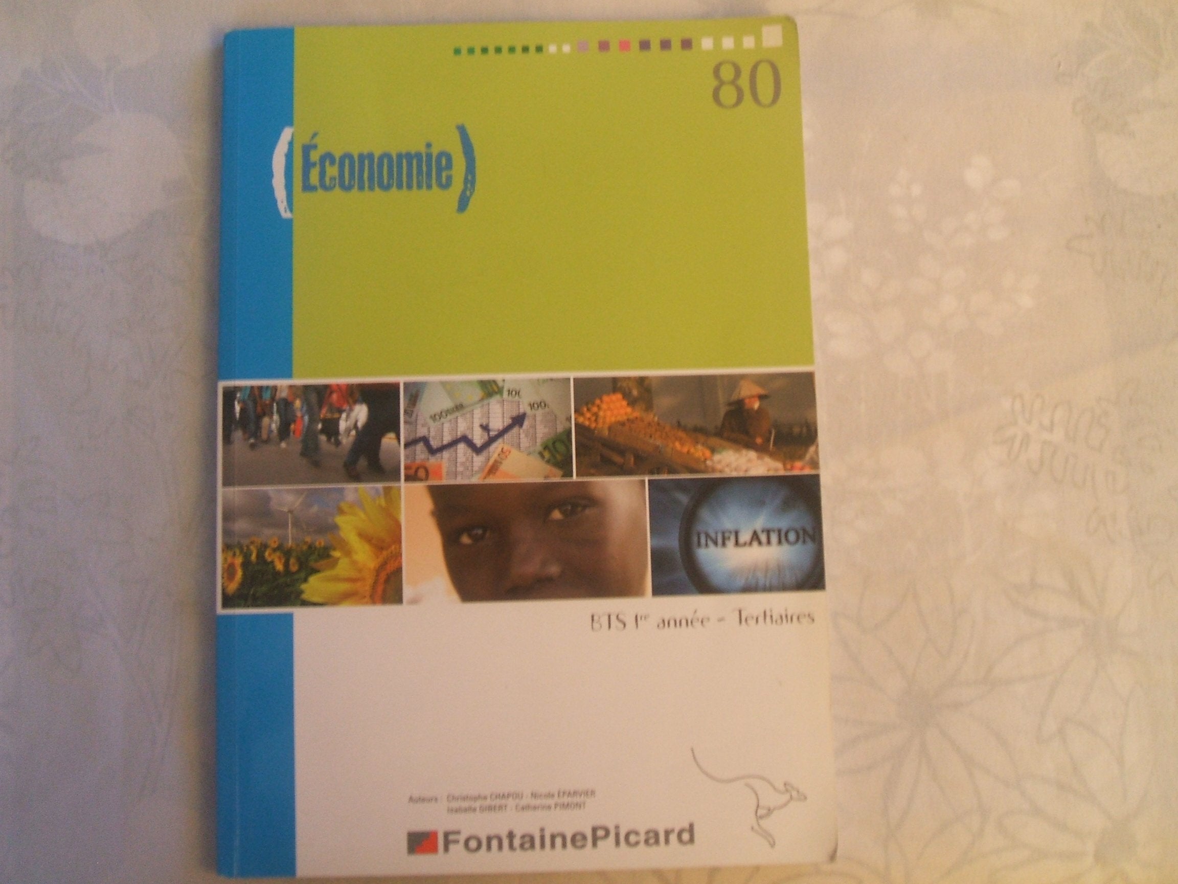 Economie BTS 1e année Tertiaires book