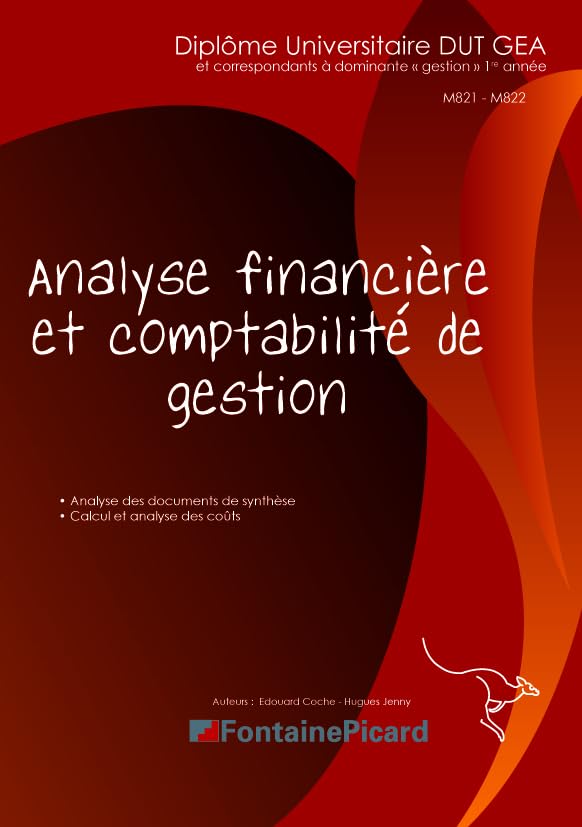 Analyse financière et comptabilité de gestion DUT GEA 1re année book
