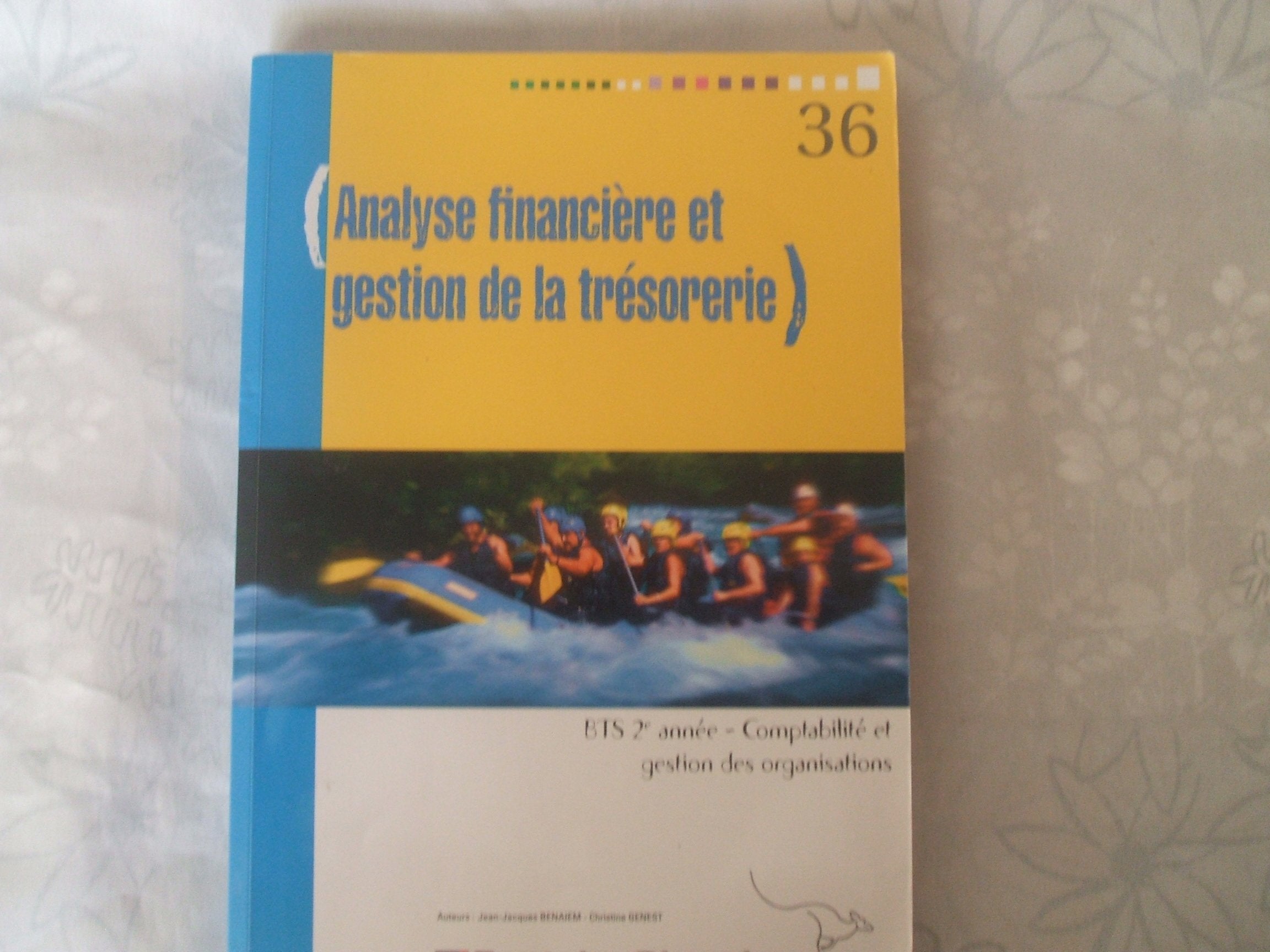 Analyse financière et gestion de la trésorerie BTS CGO 2e année book