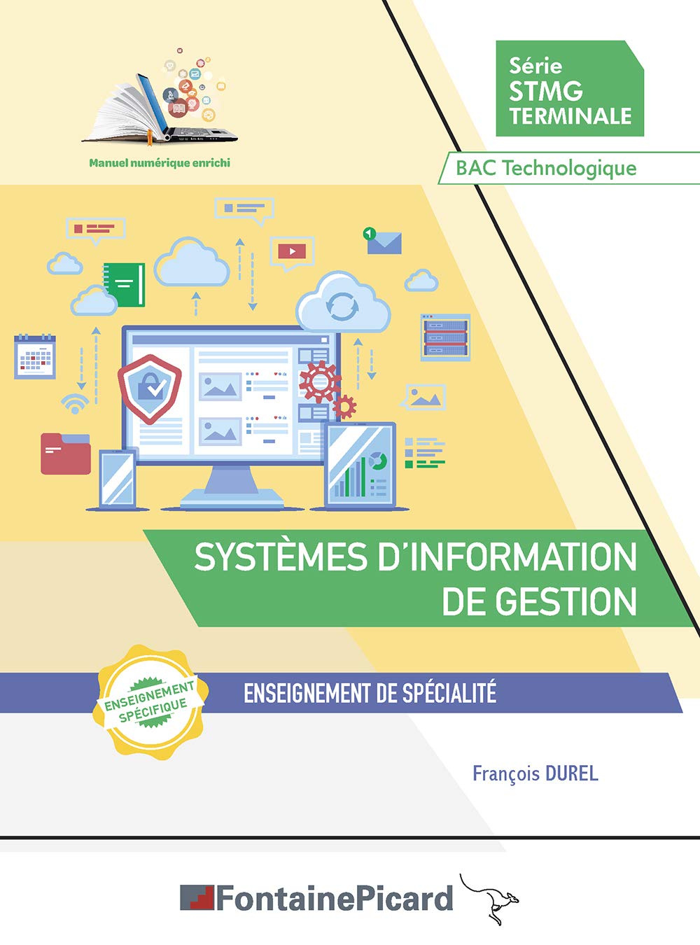 SYSTÈMES D’INFORMATION DE GESTION TERMINALE STMG: Enseignement de spécialité Professional & Reference Books