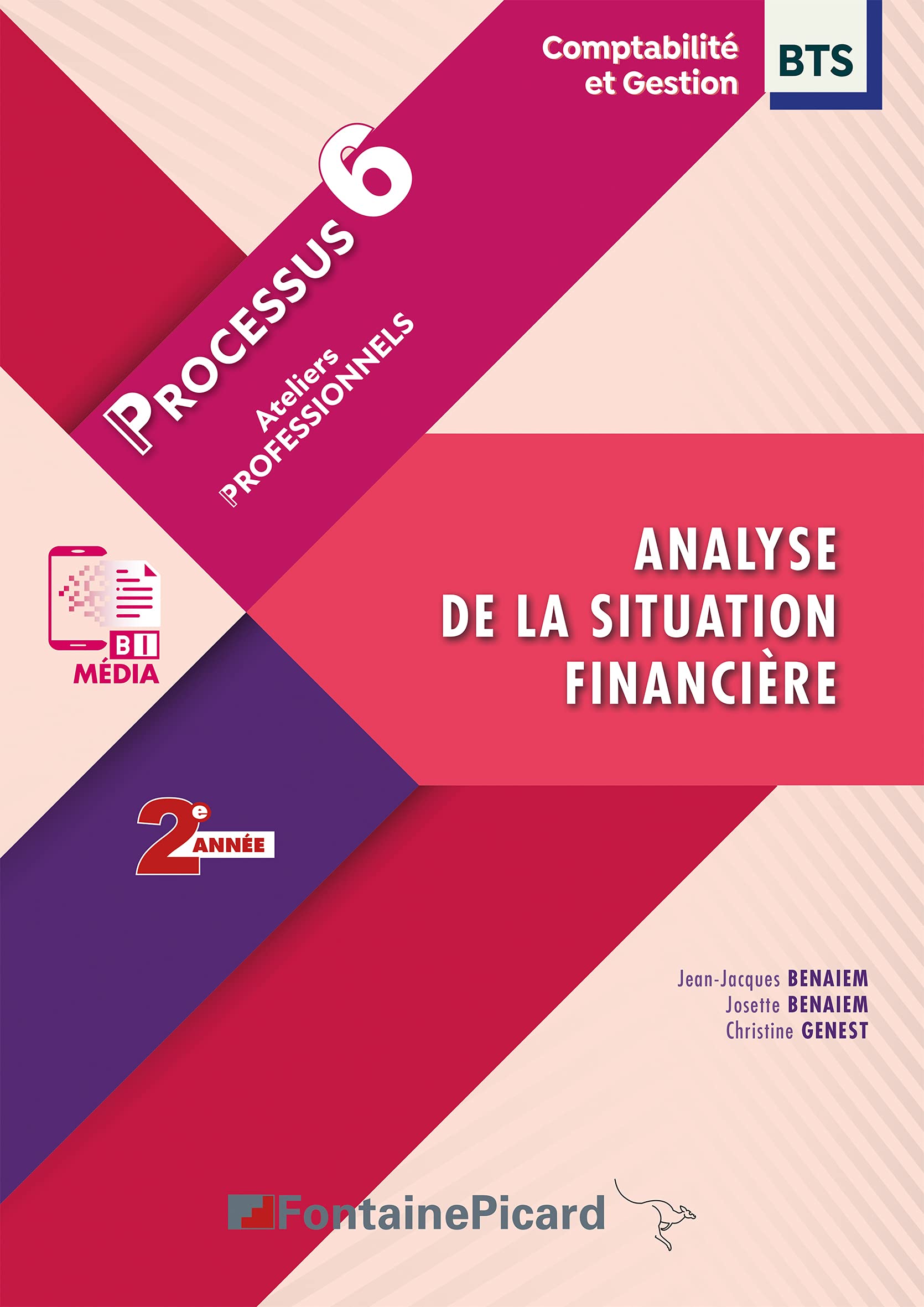 Analyse de la situation financière BTS CG 2e année: Processus 6 Ateliers professionnels book