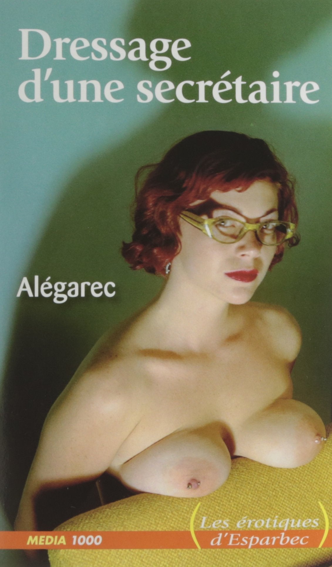 Dressage d'une secrétaire Contemporary literature