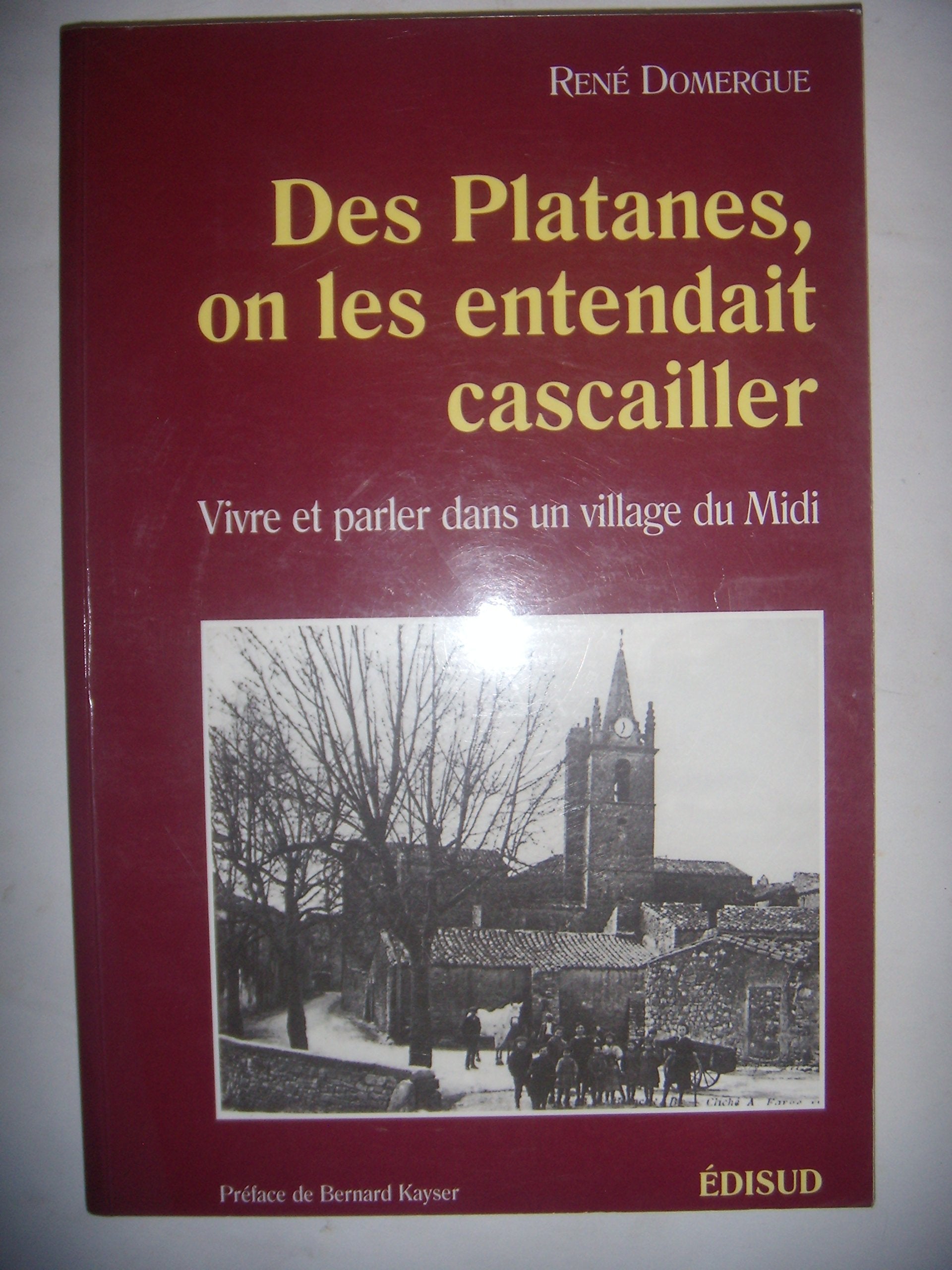Des platanes, on les entendait cascailler : vivre et parler dans un village du Midi Professional & Reference Books
