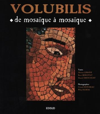 Volubilis : de mosaïque à mosaïque book