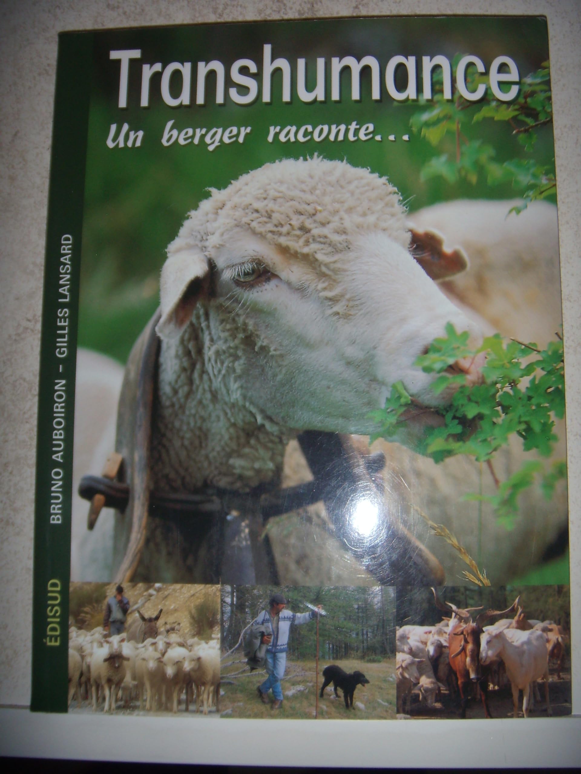 Transhumance: Un berger raconte... book