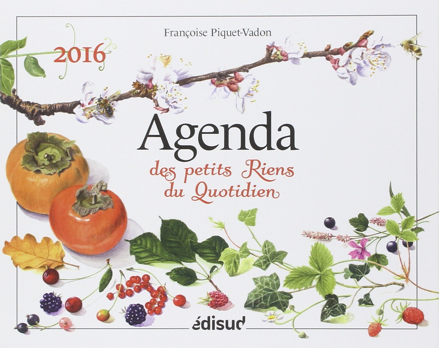 Agenda des petits riens du quotidien Books