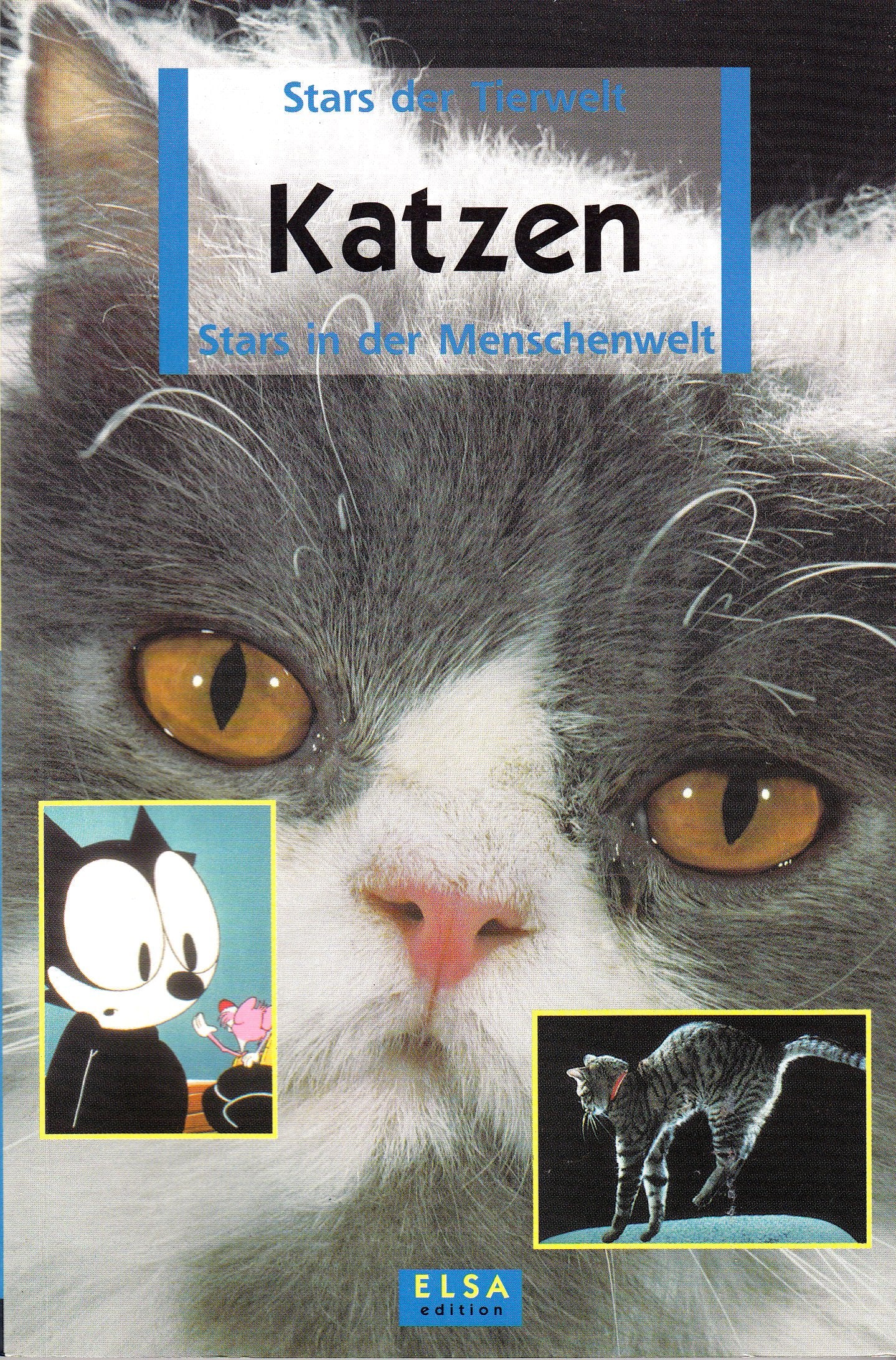 Stars der Tierwelt Katzen Stars in der Menschenwelt Books