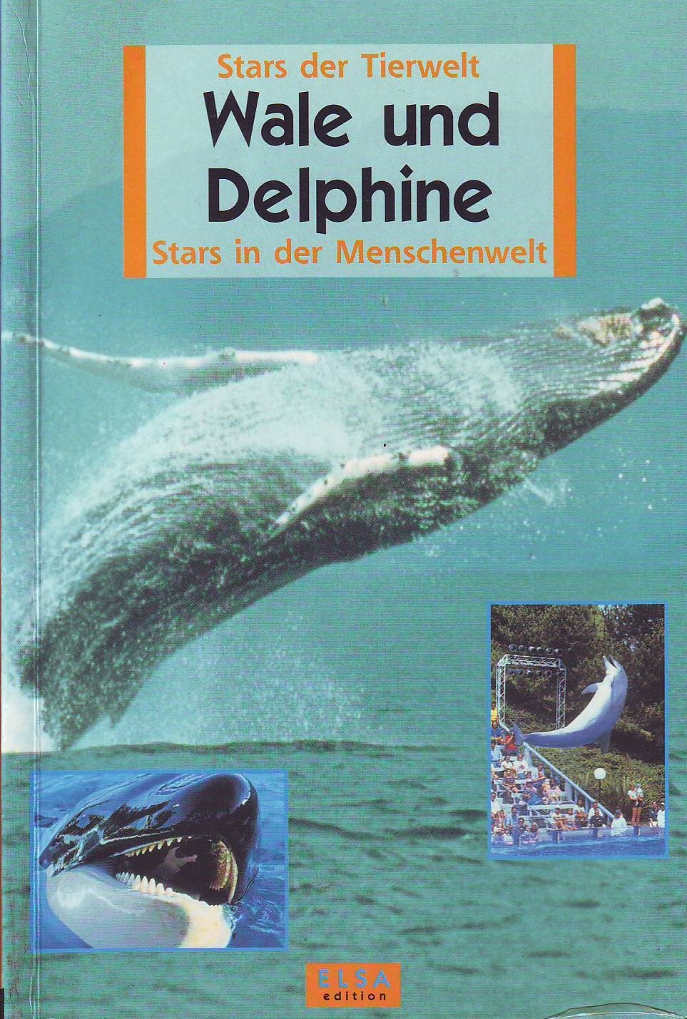 Wale in der Tierwelt -Stars der Tierwelt Stars in der Menschenwelt Books