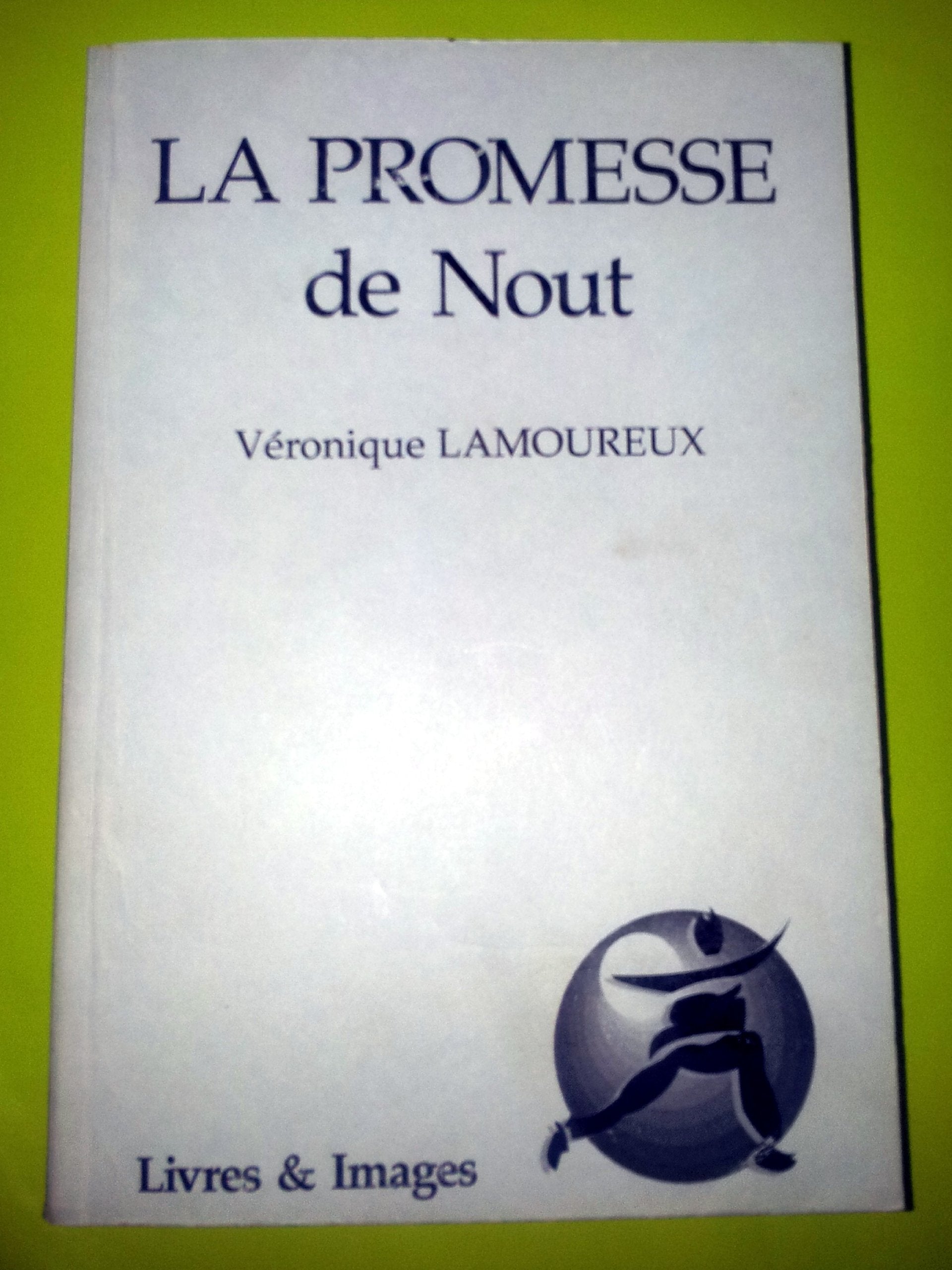 La promesse de Nout book