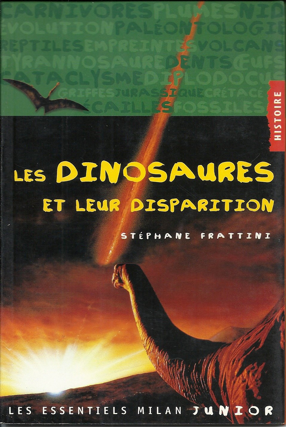 Essentiels Junior: Les Dinosaures ET Leur Disparition Politics & History