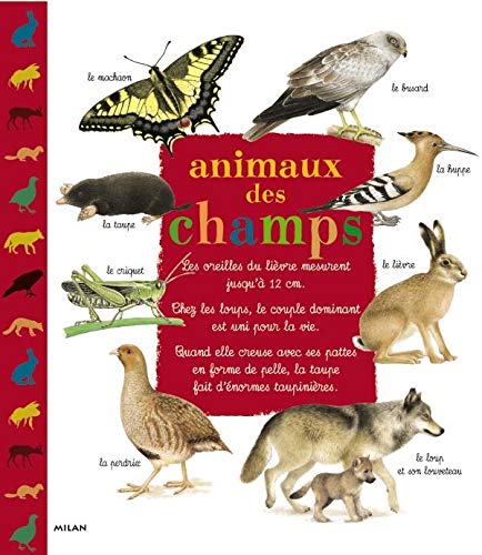 Animaux Des Champs Books