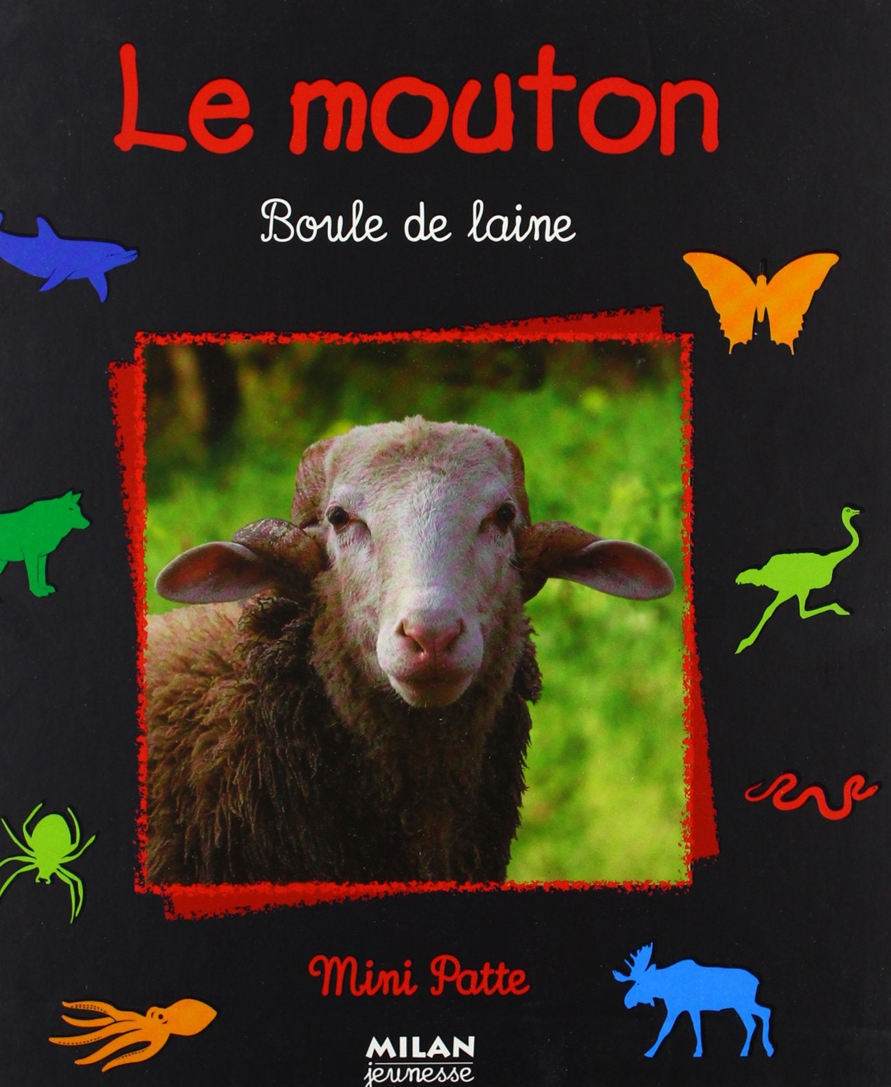 Le Mouton. Boule De Laine Books