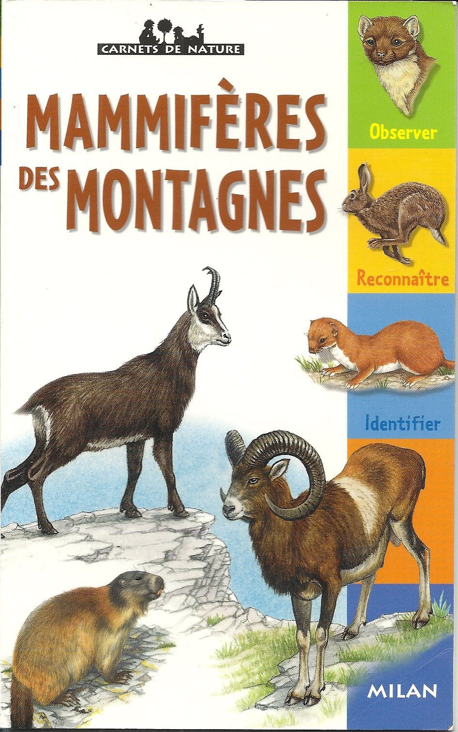 Product Image: Les mammifères des montagnes