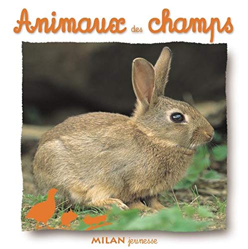 Product Image: Animaux des champs