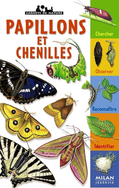 Product Image: Papillons et chenilles