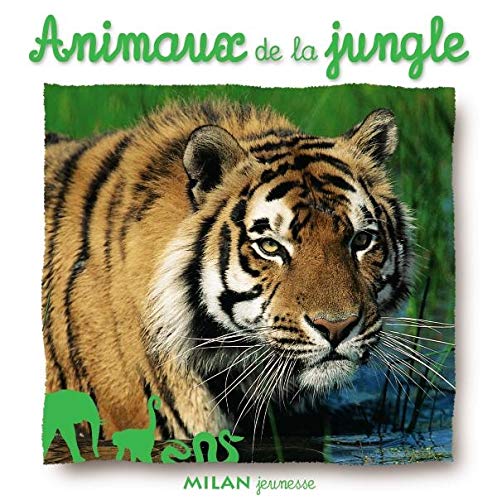 Product Image: Animaux de la jungle