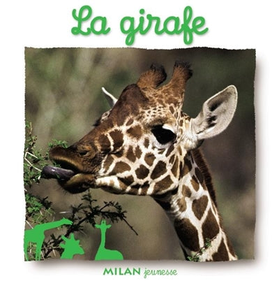 Product Image: La girafe