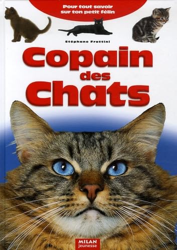 Copain des Chats: Pour tout savoir sur ton petit félin book